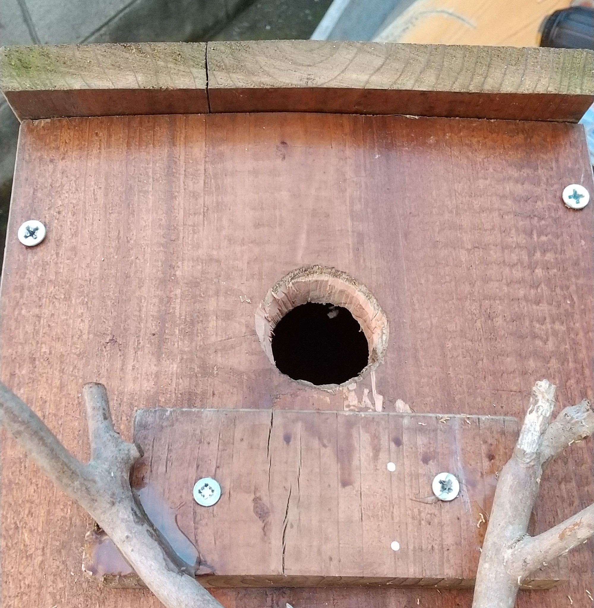 シジュウカラの巣箱　穴のサイズ