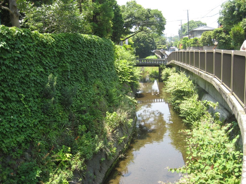 鎌倉浄明寺滑川